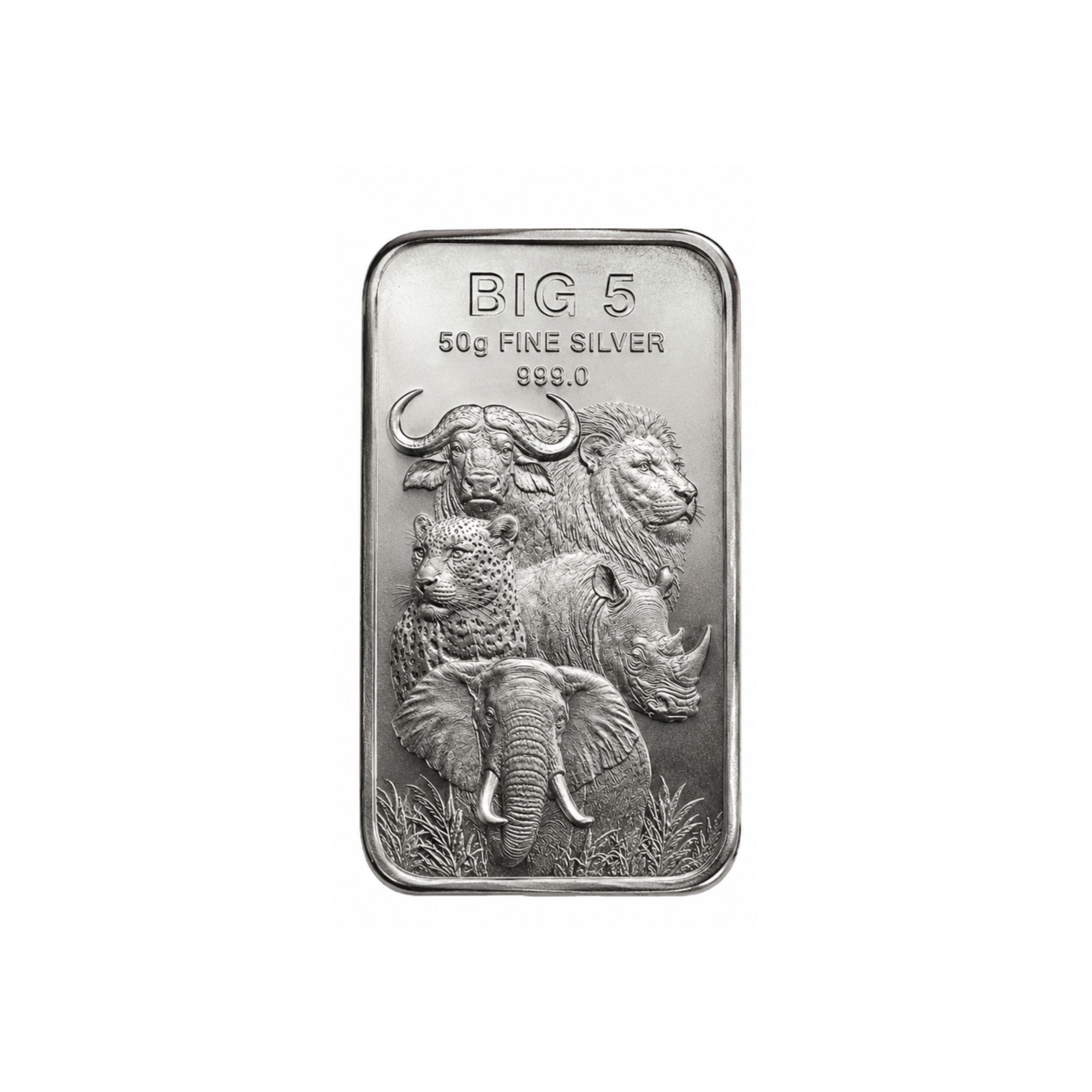 50g Big Five Fine Silver Bar